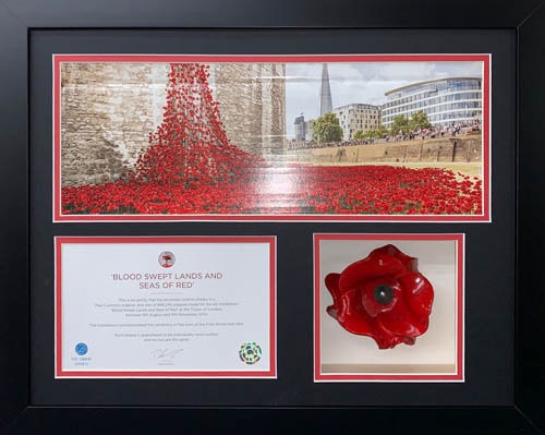 Ceramic Poppy 3D Box Frame with 2 opening for certificate and photo - Black Mount