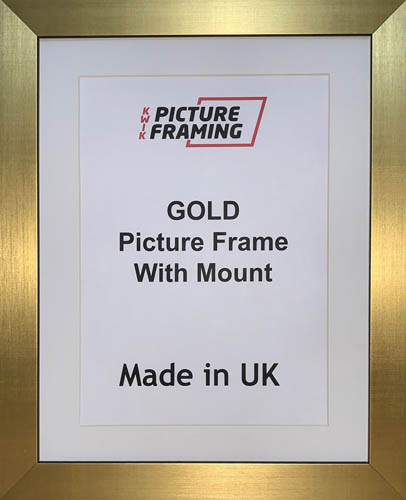 Picture frames with mounts