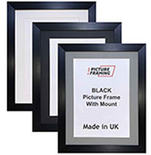 Picture Frame With Mount