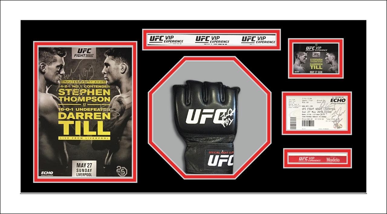 Frame Display Case For 1x Signed UFC or MMA Glove Mitts in Octagon 3D Design Box Frame