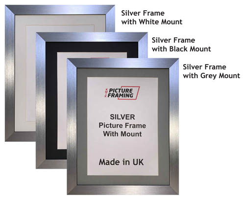 Silver Picture Frame with Mount