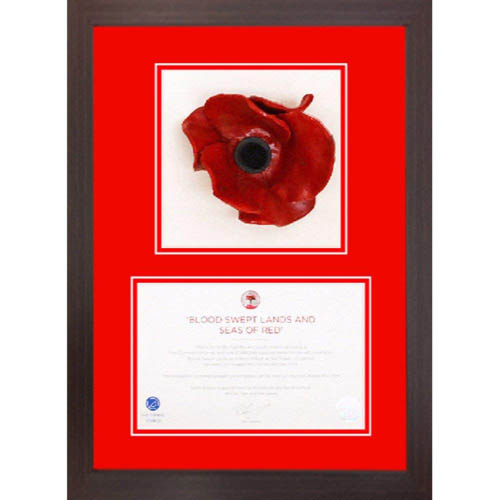 One Poppy 3D Box Frame with A5 opening for certificate - Red Mount