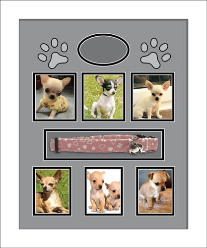 Personalised Dog Photo Picture frame Dog Collar Memory frame Black Mount 