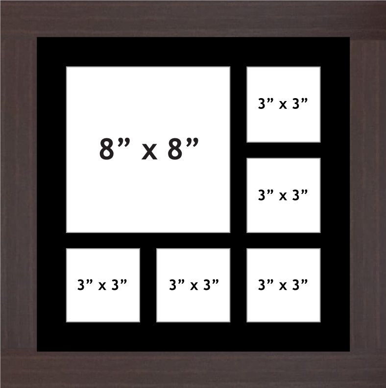 Multi Aperture picture frame fits 6 (1x8