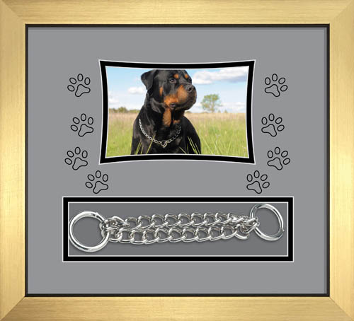 Picture Frames Yellow 