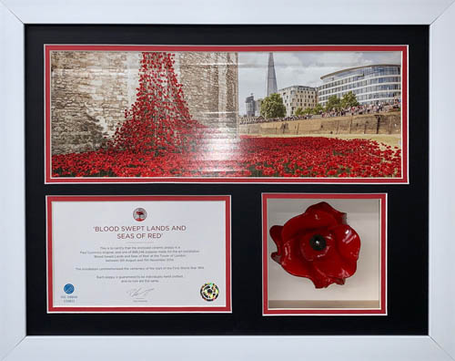 Ceramic Poppy 3D Box Frame with 2 opening for certificate and photo - Black Mount
