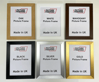 Picture Frames in Packs of 6