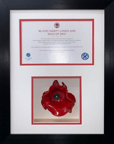 One Poppy 3D Box Frame with A5 opening for certificate 