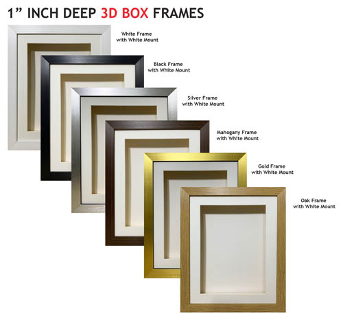 1 inch Deep Shadow 3D Box Picture Frame - White Mount