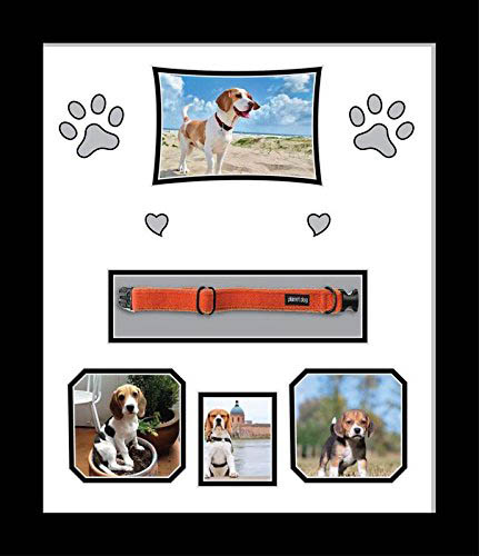 PERSONALISED PHOTO frame, PET, CAT, DOG, IN MEMORY BEREAVEMENT REMEMBRANCE