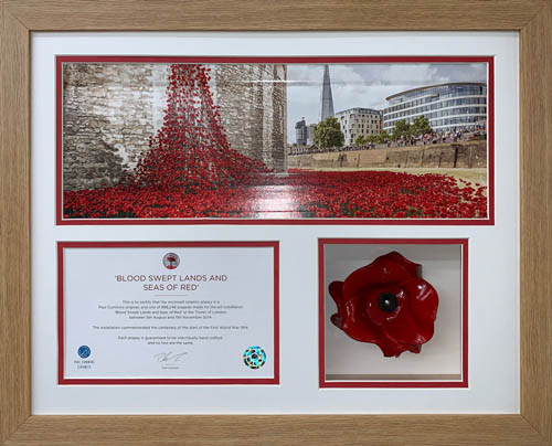 Ceramic Poppy 3D Box Frame with 2 opening for certificate and photo - Black Mount