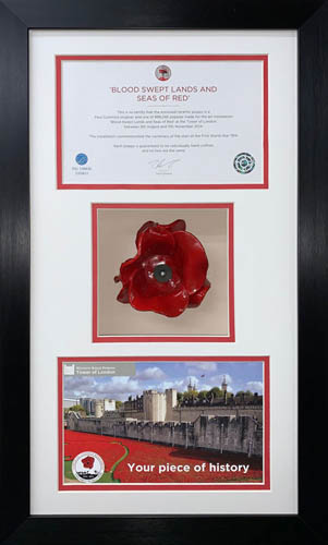 Poppy Display Frame For Tower of London