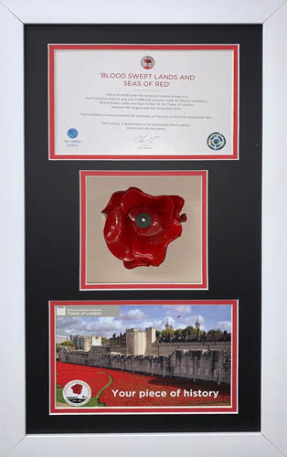 Poppy Display Frame For Tower of London