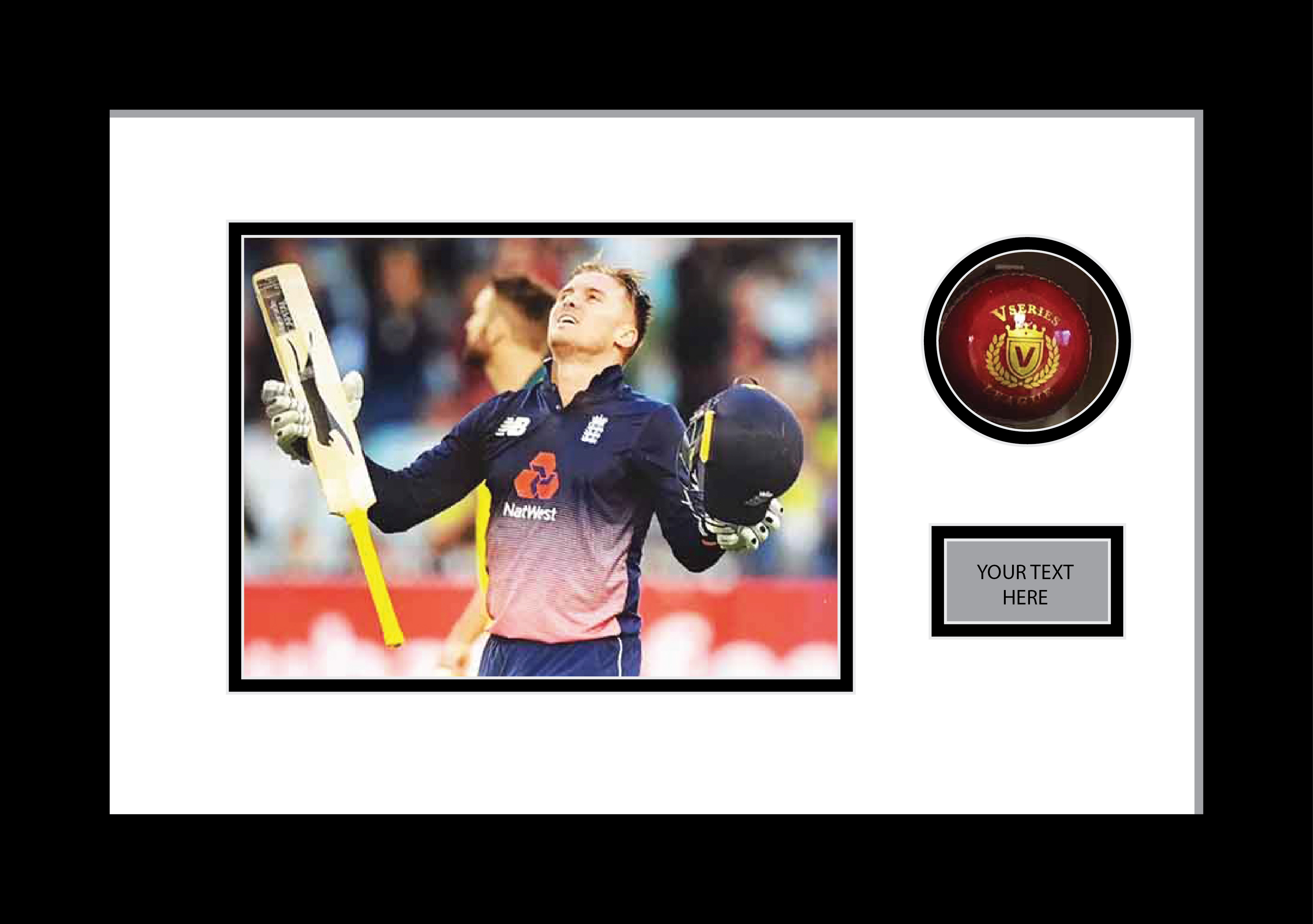 Signed cricket ball display case