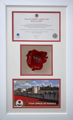 Poppy Display Frame For Tower of London