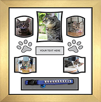 Pet Memorial Frames