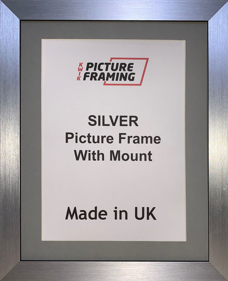 Silver Picture Frame with Grey Mount